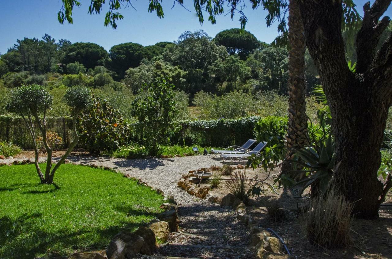 Casa Sereno Benagil Bagian luar foto